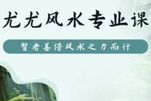 【599[红包]·S1870尤尤风水+数字易经+八字+面相专业课丨四合一】