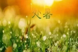 【25[红包]·S0595逆龄 • 处暑】