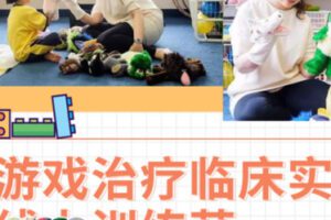 【50[红包]·S0609【游戏治疗临床实操线上训练营】国内首位美国APT认证游疗师领衔授课】