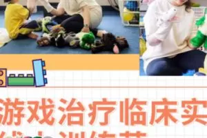 【50[红包]·S0609【游戏治疗临床实操线上训练营】国内首位美国APT认证游疗师领衔授课】
