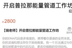 【55[红包]·S0366【瑞老师】开启普拉那能量管道工作坊】