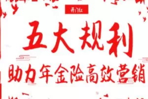 【25[红包]·S2835五大规划助力年金险高效营销】