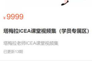 【100[红包]·S2818塔梅拉ICEA课堂视频集】