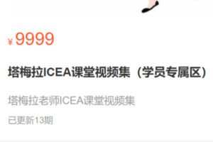 【100[红包]·S2818塔梅拉ICEA课堂视频集】
