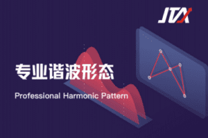 【199[红包]·《Z0630-杰克交易学院JTA-专业谐波形态》】