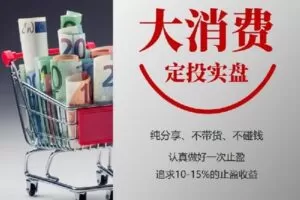 【9.9[红包]·《【大消费】定投笔记》】