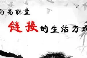 【捐赠[红包]29.90·《YL0386-习冠-与高能量链接的生活方式】