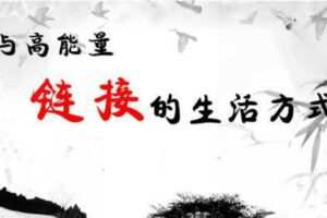【捐赠[红包]29.90·《YL0386-习冠-与高能量链接的生活方式】