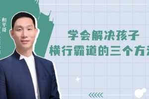 【捐赠[红包4.90·《YL0394-父母传奇-孩子玩手机刹不住车横行霸道怎么办？】
