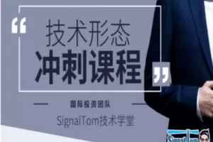 【捐赠19.9[红包]·《Z0058-SignalTom技术学堂-投资技术速成课程》】