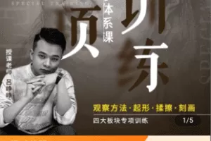 【捐赠29.9[红包]·《Z4986-峥峥素描头像照片专项训练小体系观察方法起形揉擦刻画课永久回看》】 【原版无水印】