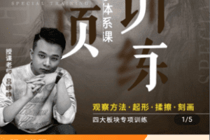 【捐赠29.9[红包]·《Z4986-峥峥素描头像照片专项训练小体系观察方法起形揉擦刻画课永久回看》】 【原版无水印】