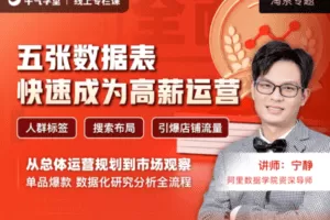 【捐赠19.9[红包]·《牛气学堂-5张数据表快速成为高薪运营》】