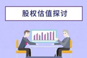 【捐赠9.9[红包]·《Z0159-价值立方-股权估值探讨》】