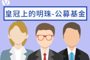 【捐赠9.9[红包]·《Z0160-价值立方-皇冠上的明珠-公募基金》】