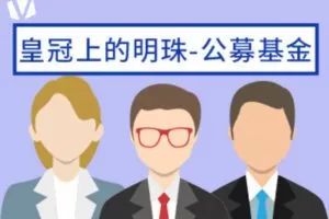 【捐赠9.9[红包]·《Z0160-价值立方-皇冠上的明珠-公募基金》】