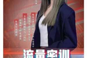 【捐赠39[红包]·《D0185-休斯流量密训课》】 【原版无水印】