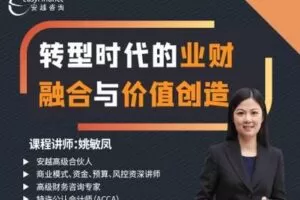 【捐赠26.9[红包]·《Z0196-安越咨询-转型时代的业财融合与价值创造》】