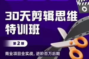 【捐赠29[红包]·《Z5193-Sir电影私塾-【30天剪辑思维特训班】商业项目全实战，进阶百万后期（第2期）》】 【原版无水印】