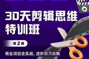 【捐赠29[红包]·《Z5193-Sir电影私塾-【30天剪辑思维特训班】商业项目全实战，进阶百万后期（第2期）》】 【原版无水印】