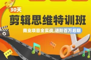 【捐赠29[红包]·《Z5197-Sir电影私塾-【全网独家首发】30天剪辑思维特训班：商业项目全实战，进阶百万后期》】 【原版无水印】