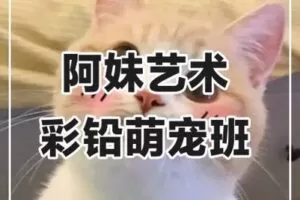 【捐赠29.9[红包]·《阿妹艺术学院-阿妹艺术——彩铅萌宠2020》】