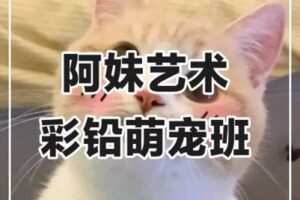 【捐赠29.9[红包]·《阿妹艺术学院-阿妹艺术——彩铅萌宠2020》】