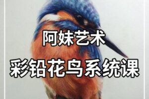 【捐赠19.9[红包]·《阿妹艺术学院-阿妹艺术·双十一活动课——彩铅花鸟系统课》】