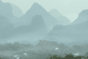 【捐赠29.9[红包]·《Z5873-陈帆摄影课2022春夏报名》】 【原版无水印】