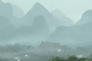 【捐赠29.9[红包]·《Z5873-陈帆摄影课2022春夏报名》】 【原版无水印】