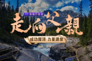 【捐赠29.9[红包]·《Z5878-詹唐宁-清理疗愈营走向父亲》】