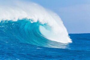 【捐赠25[红包]·《Z5887-王陶陶的知识分享-王陶陶政策风险评估2022》】 【原版无水印】