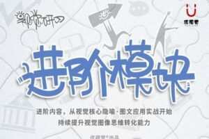 【捐赠79.9[红包]·《Z1166-优视觉-《进阶模块》隐喻·图文应用·视觉核心实战》】