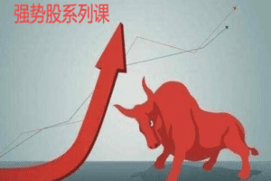 【捐赠49.9[红包]·《Z0046-猫哥课堂-决战强势股利器——强势股战法高级课程》】