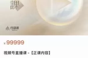 【捐赠39.9[红包]·《D0195-行动派视频号直播课 -【正课内容】》】