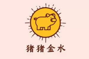 【捐赠价199[红包]·《猪猪金水学习社-2021年10月紫微斗数亲授课》】