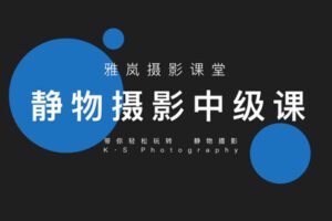 【捐赠39.9[红包]·《Z5591-雅岚摄影课堂-雅岚静物摄影·中级课》】