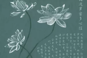 【捐赠19.9[红包]·《Z5593-18度摄影学院-禅意荷花》】