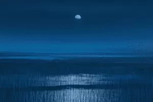 【捐赠19.9[红包]·《Z5626-张望工作室摄影课堂-非渔教“诗画风光”摄影创作美学与技巧》】 【原版无水印】