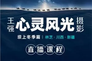 【捐赠29.9[红包]·《Z5628-张望工作室摄影课堂-《王强心灵风光摄影》系列课程》】 【原版无水印】