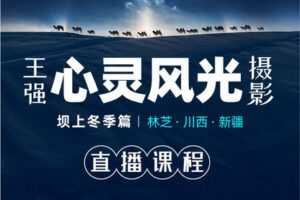 【捐赠29.9[红包]·《Z5628-张望工作室摄影课堂-《王强心灵风光摄影》系列课程》】 【原版无水印】