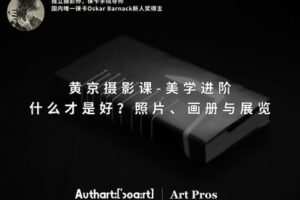 【捐赠29.9[红包]·《Z5650-王晶晶在暗房-黄京摄影课-美学进阶：什么才是好？照片、画册与展览》】 【原版无水印】