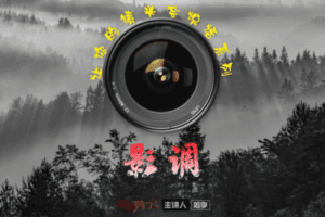 【捐赠19.9[红包]·《Z5659-王晶晶在暗房-《让你的镜头会说话之影调》精编课（收藏版）》】 【原版无水印】
