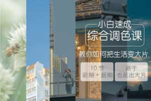 【捐赠19.9[红包]·《Z5715-尚维摄影研习社-0基础综合调色课（含前期要点和后期操思路）》】 【原版无水印】