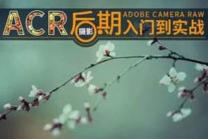 【捐赠19.9[红包]·《Z5729-PS云课堂-ACR摄影后期入门到实战》】 【原版无水印】