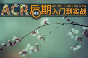 【捐赠19.9[红包]·《Z5729-PS云课堂-ACR摄影后期入门到实战》】 【原版无水印】