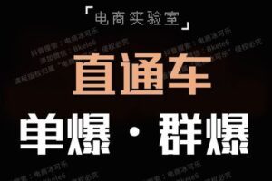 【捐赠69.9[红包]·《Z5733-「电商实验室」-《直通车·单爆·群爆》》】
