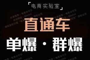 【捐赠69.9[红包]·《Z5733-「电商实验室」-《直通车·单爆·群爆》》】