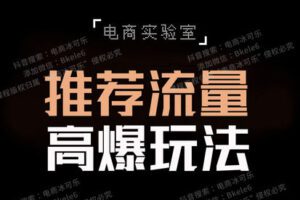 【捐赠29.9[红包]·《Z5734-「电商实验室」-《推荐流量高爆玩法》》】