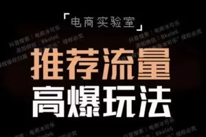【捐赠29.9[红包]·《Z5734-「电商实验室」-《推荐流量高爆玩法》》】